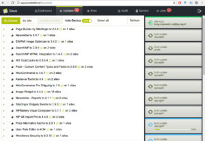Steve WordPress Management